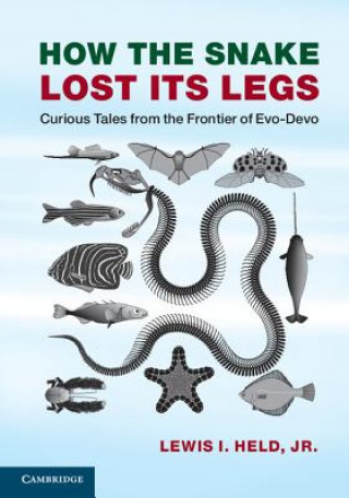 Carte How the Snake Lost its Legs Lewis I. Held