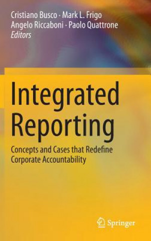 Книга Integrated Reporting Cristiano Busco