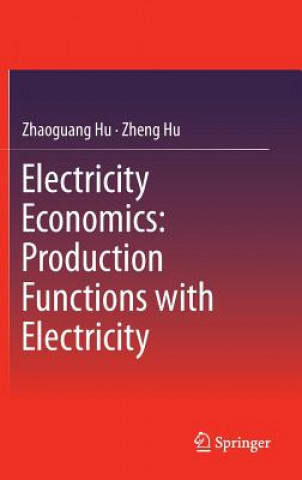 Книга Electricity Economics: Production Functions with Electricity Zhaoguang Hu