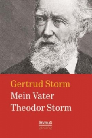 Kniha Mein Vater Theodor Storm Gertrud Storm