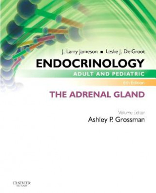 Kniha Endocrinology Adult and Pediatric: The Adrenal Gland Ashley B Grossman