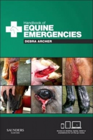 Kniha Handbook of Equine Emergencies Debra Catherine Archer