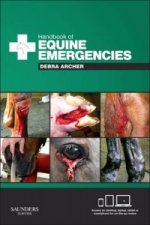 Könyv Handbook of Equine Emergencies Debra Catherine Archer