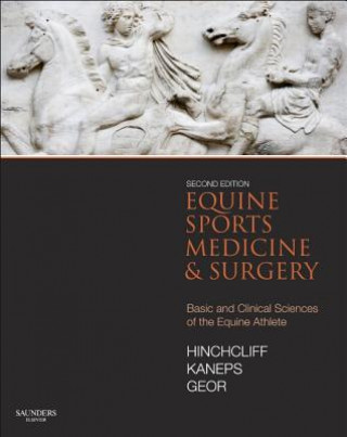 Knjiga Equine Sports Medicine and Surgery Kenneth W Hinchcliff