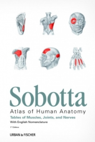 Kniha Sobotta Tables of Muscles, Joints and Nerves, English Jens Waschke