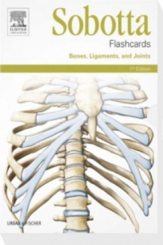 Játék Sobotta Flashcards Bones, Ligaments and Joints Lars