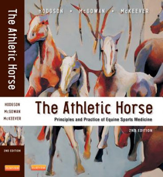 Kniha Athletic Horse David R Hodgson