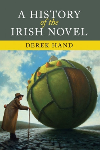 Buch History of the Irish Novel Derek Hand