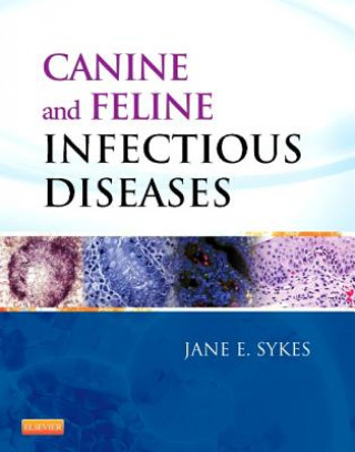 Книга Canine and Feline Infectious Diseases Jane E Sykes