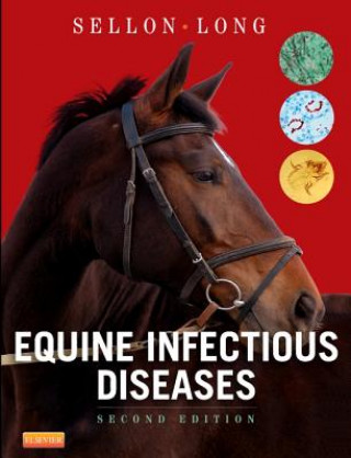 Книга Equine Infectious Diseases Debra C Sellon