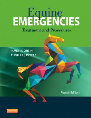 Kniha Equine Emergencies James A Orsini