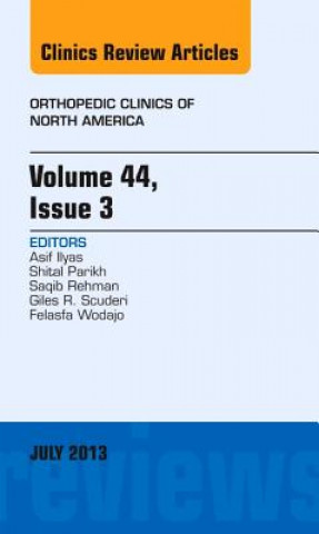 Könyv Volume 44, Issue 3, An Issue of Orthopedic Clinics Asif M Ilyas