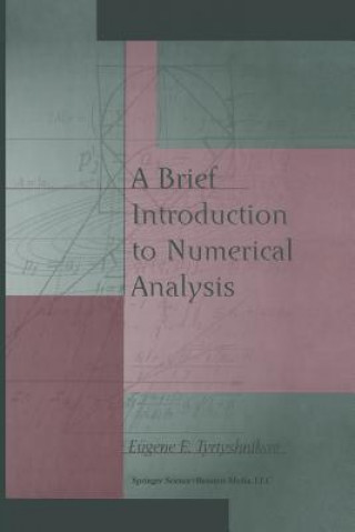 Carte A Brief Introduction to Numerical Analysis Eugene E. Tyrtyshnikov