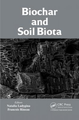 Könyv Biochar and Soil Biota Natalia Ladygina