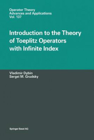 Kniha Introduction to the Theory of Toeplitz Operators with Infinite Index Vladimir Dybin