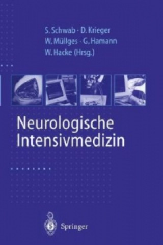 Knjiga Neurologische Intensivmedizin S. Schwab