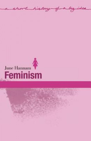 Könyv Feminism June Hannam