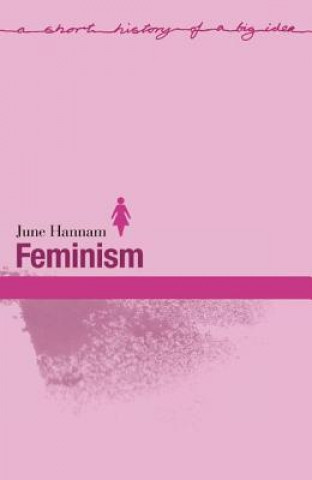 Książka Feminism June Hannam