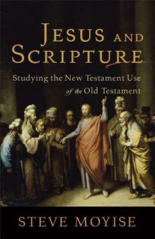 Boek Jesus and Scripture Steve Moyise