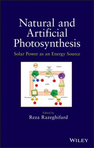 Könyv Natural and Artificial Photosynthesis - Solar Power as an Energy Source Reza Razeghifard