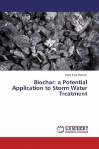 Carte Biochar: a Potential Application to Storm Water Treatment Perry Rose Morrow