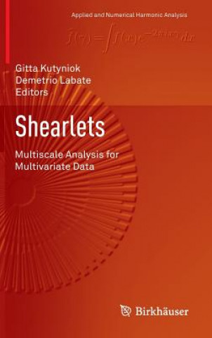 Livre Shearlets Gitta Kutyniok