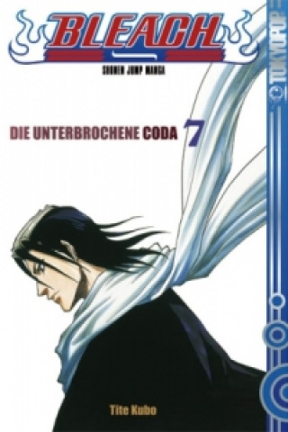 Kniha Bleach 07 Tite Kubo