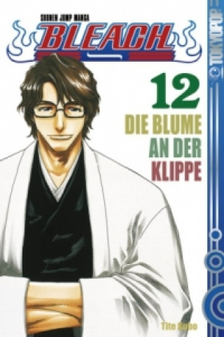 Buch Bleach - Die Blume an der Klippe Tite Kubo