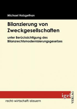 Kniha Bilanzierung von Zweckgesellschaften Michael Holzgethan