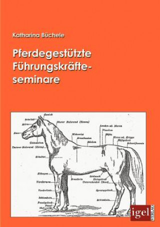 Könyv Pferdegestutzte Fuhrungskrafteseminare Katharina Büchele