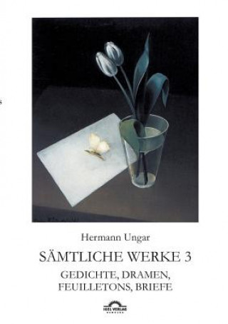 Kniha Hermann Ungar Dieter Sudhoff