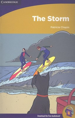 Książka Storm Patricia Chapin