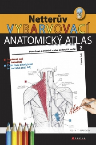 Carte Netterův vybarvovací anatomický atlas John T. Hansen