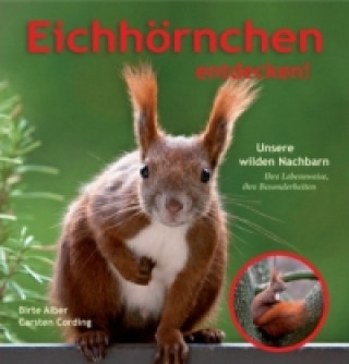 Livre Eichhörnchen entdecken! Birte Alber