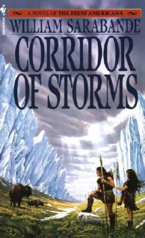 Book Corridor of Storms William Sarabande