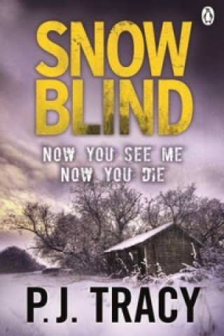 Book Snow Blind P.J. Tracy