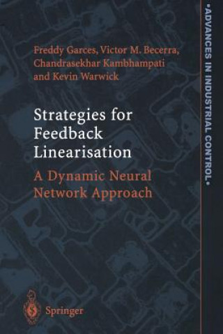 Boek Strategies for Feedback Linearisation Freddy Rafael Garces