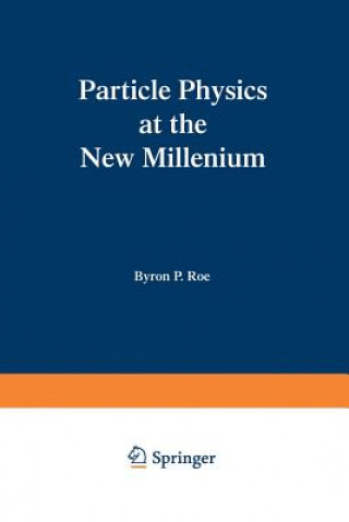 Kniha Solutions Manual for Particle Physics at the New Millennium Byron P. Roe