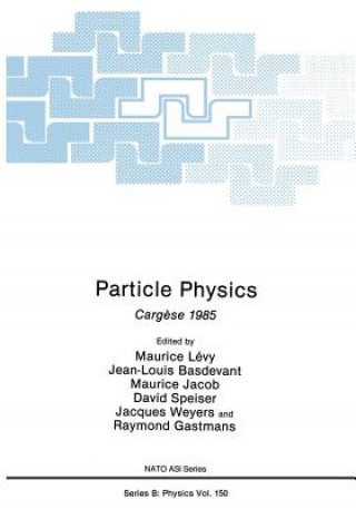 Carte Particle Physics Maurice Lévy