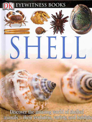 Livre DK EYEWITNESS BOOKS SHELL Alex Arthur