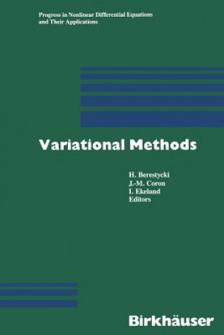 Knjiga Variational Methods ERESTYCKI