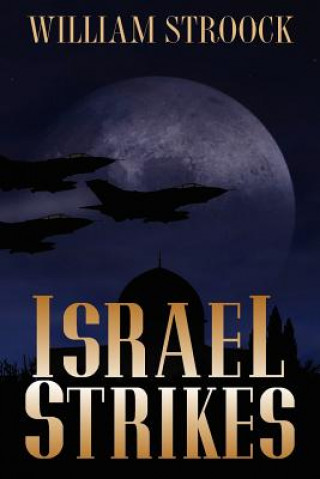 Kniha Israel Strikes William Stroock