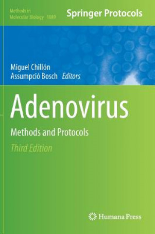 Könyv Adenovirus Miguel Chillón