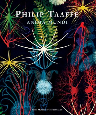 Kniha Philip Taaffe - Anima Mundi Enrique Juncosa