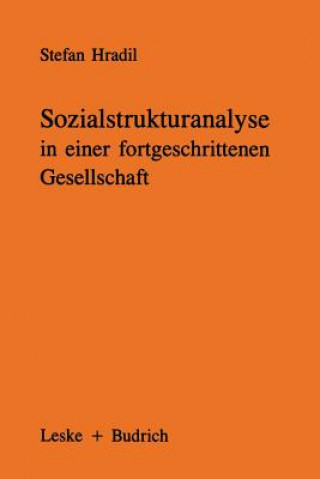 Kniha Sozialstrukturanalyse in Einer Fortgeschrittenen Gesellschaft Stefan Hradil