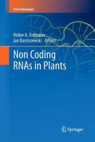 Carte Non Coding RNAs in Plants Volker A. Erdmann