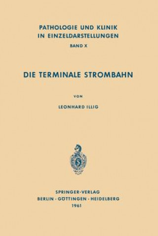 Książka Die Terminale Strombahn L. Illig