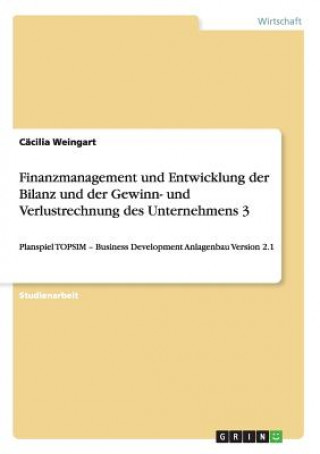 Könyv Finanzmanagement und Entwicklung der Bilanz und der Gewinn- und Verlustrechnung des Unternehmens 3 Cäcilia Weingart