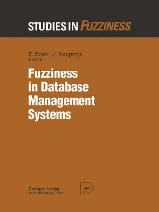 Könyv Fuzziness in Database Management Systems Patrick Bosc