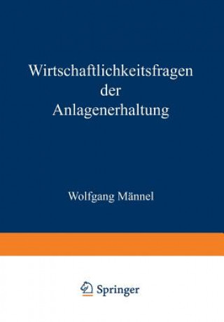 Книга Wirtschaftlichkeitsfragen Der Anlagenerhaltung Wolfgang Männel